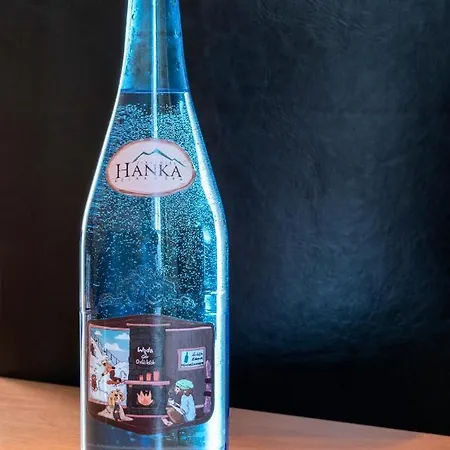 Resort Hanka Relax & Zieleniec (Klodzko)