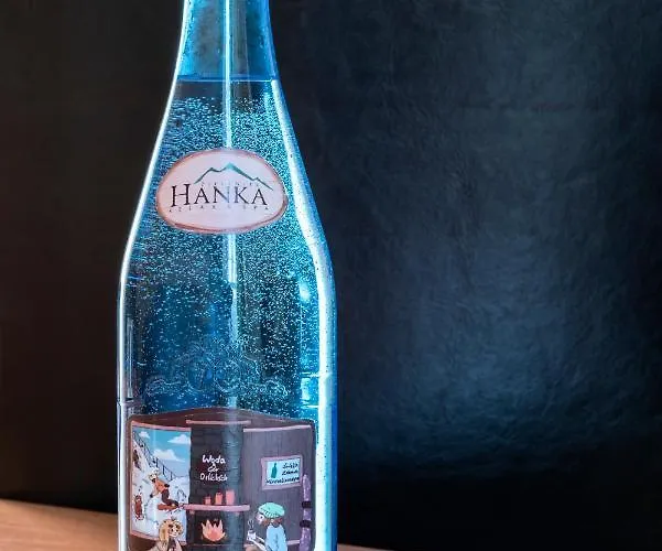 Курортный комплекс Hanka Relax & Spa Зеленец